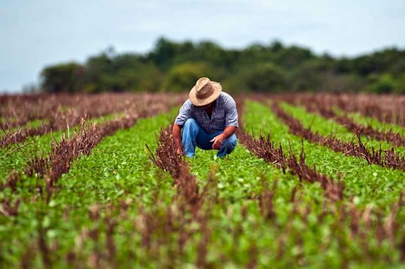 Que documentos você precisa para comprovar o tempo rural