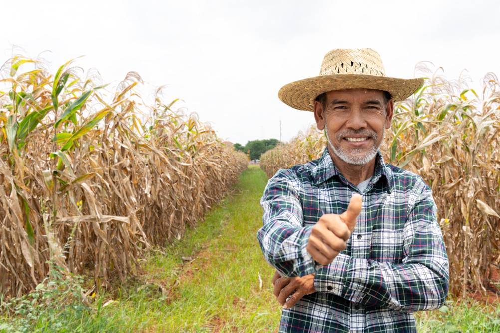 Quem tem direito a aposentadoria por idade rural